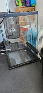 Terrarium, Dieren en Toebehoren, Ophalen, Gebruikt, Terrarium of Paludarium