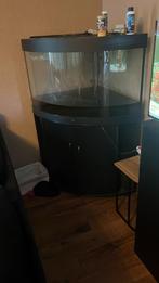 Bieden!! Juwel hoek aquarium 190 liter, Dieren en Toebehoren, Vissen | Aquaria en Toebehoren, Ophalen, Zo goed als nieuw, Leeg aquarium