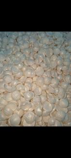 Drowa chips  kruipruimte isolatie  € 25, Ophalen of Verzenden, Nieuw