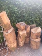 Boomstammen gedroogd, esdoorn en berk, Doe-het-zelf en Verbouw, Ophalen, Plank, 50 mm of meer, Minder dan 200 cm