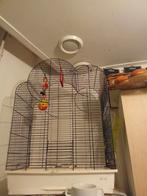 Ararat. 1*****, Dieren en Toebehoren, Vogels | Hokken en Kooien, Ophalen of Verzenden, Zo goed als nieuw, Hout, Vogelkooi