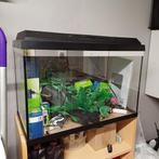 Aquarium te koop., Ophalen, Zo goed als nieuw, Leeg aquarium