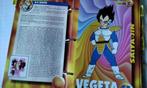 Dragon Ball Z Schaak De Agostini Map Beschrijvingen figuur, Ophalen, 1980 tot heden, Nederland, Tijdschrift
