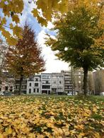 Studenten / stagiaire kamer Antwerpen te huur (+ parkzicht), Minder dan 20 m², Overige regio's