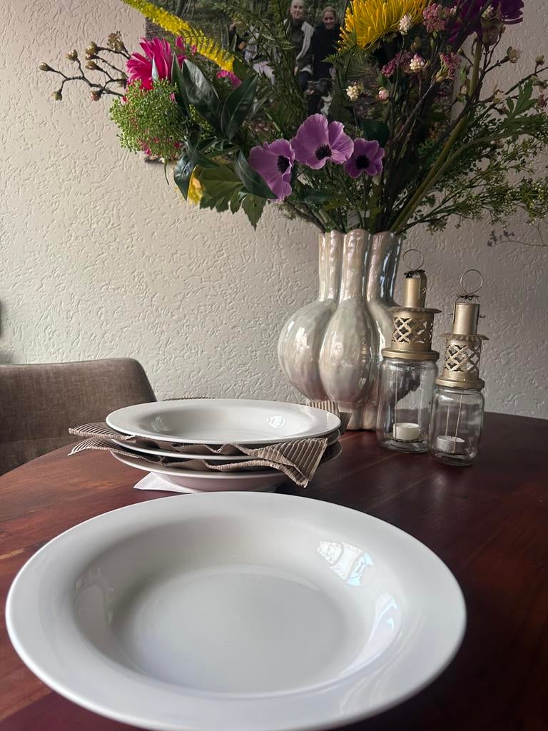 Porseleinen grote pasta borden. Tasman Bone China., Ophalen of Verzenden, Zo goed als nieuw, Bord(en), Overige stijlen