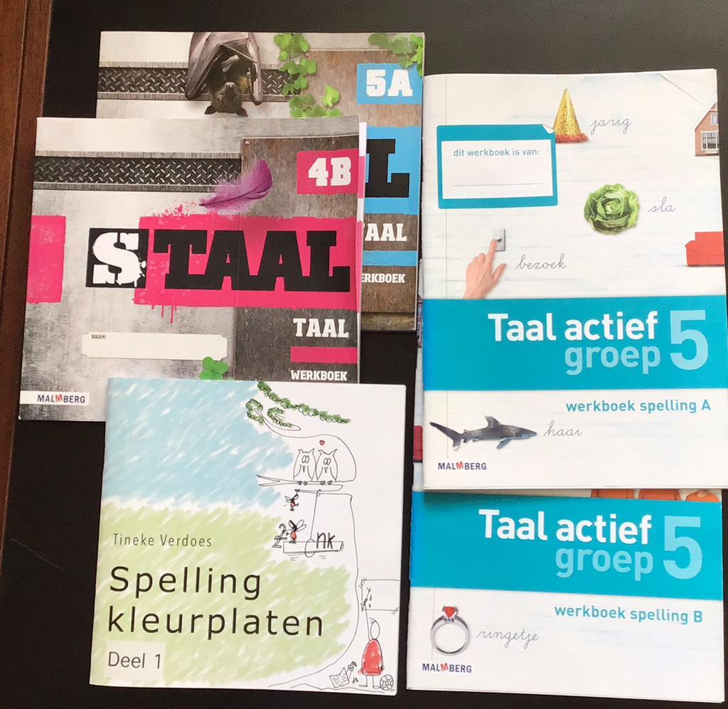 Taal spelling oefenen, Boeken, Schoolboeken, Ophalen, Overige niveaus, Nederlands