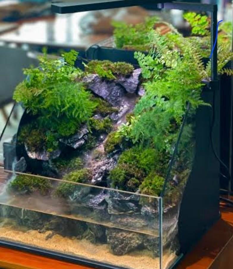 Paladarium aquarium, Ophalen, Zo goed als nieuw, Leeg aquarium