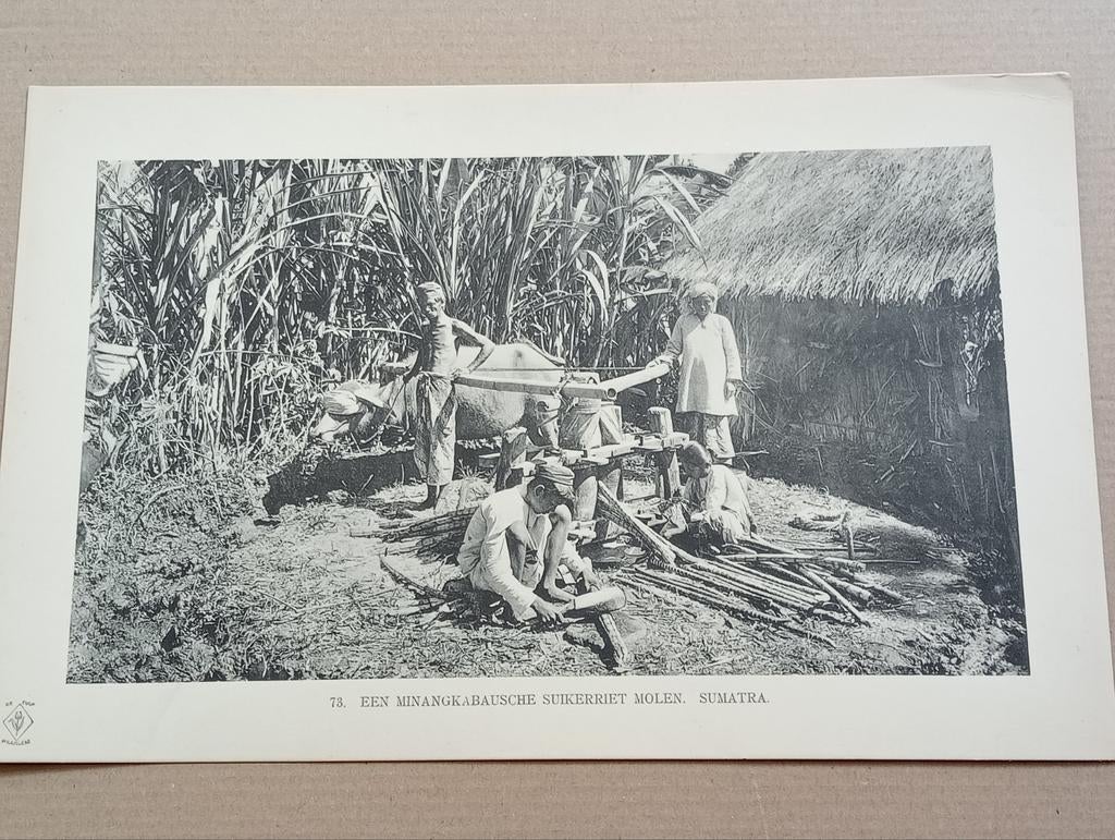 Foto gravure Nederlands Indië Indonesië 1910, Verzamelen, Ophalen of Verzenden, Voor 1940, Zo goed als nieuw, Buitenland