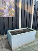 Bloembak, Ophalen, Gebruikt, 100 cm of meer, Rechthoekig