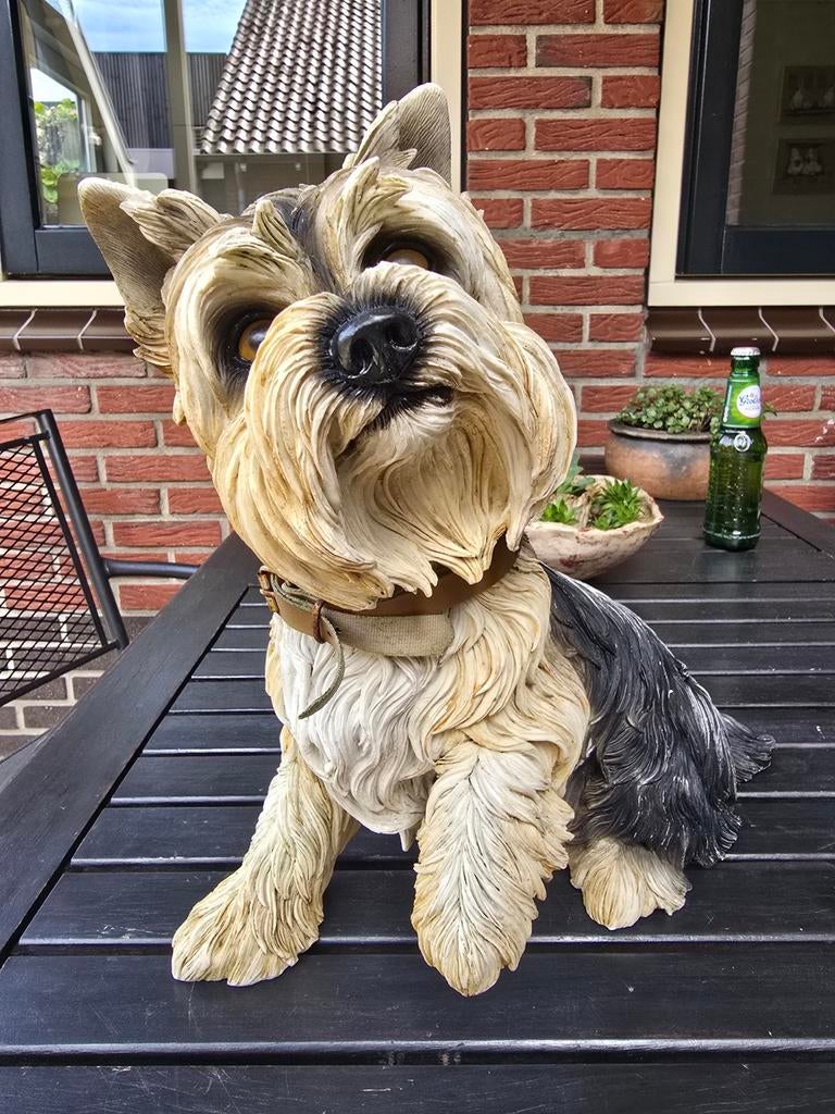 Groot Yorkshire Terriër beeld, Ophalen, Zo goed als nieuw, Dier