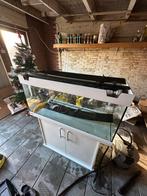 Eheim Aquarium, Dieren en Toebehoren, Vissen | Aquaria en Toebehoren, Ophalen, Zo goed als nieuw, Leeg aquarium