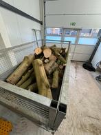 Haardhout kastqnje eik 1,5 kuub, Minder dan 3 m³, Ophalen of Verzenden