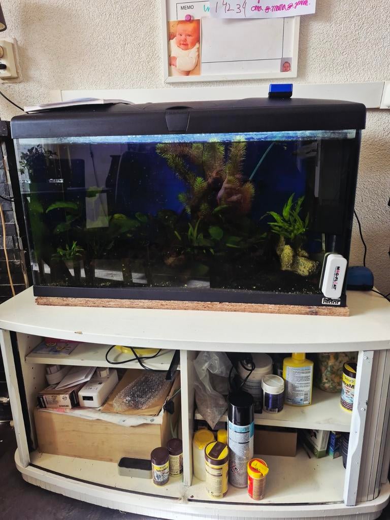 Aquarium met alles erbij, Dieren en Toebehoren, Vissen | Aquaria en Toebehoren, Ophalen, Zo goed als nieuw, Leeg aquarium
