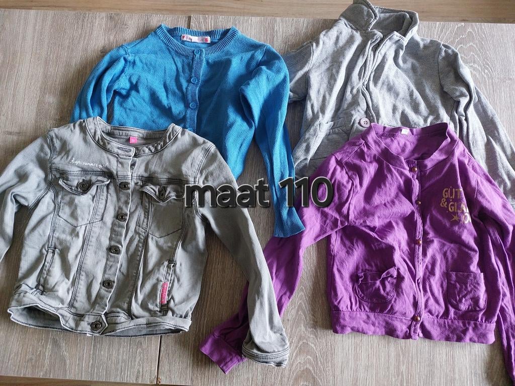 4 meisjes vestjes maat 110, Kinderen en Baby's, Kinderkleding | Overige, Ophalen of Verzenden, Gebruikt, Meisje