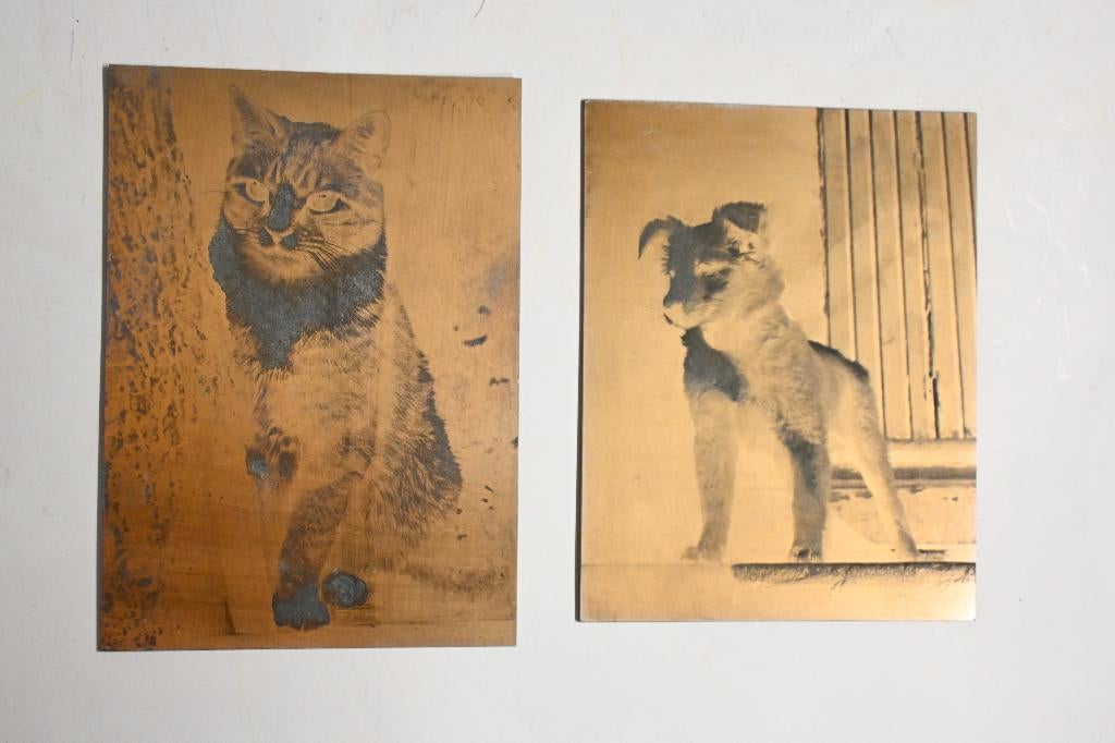 hond kat metalen foto drukkers clichee drukplaat drukkerij, Verzamelen, Ophalen of Verzenden, Zo goed als nieuw, Hond of Kat, Overige typen