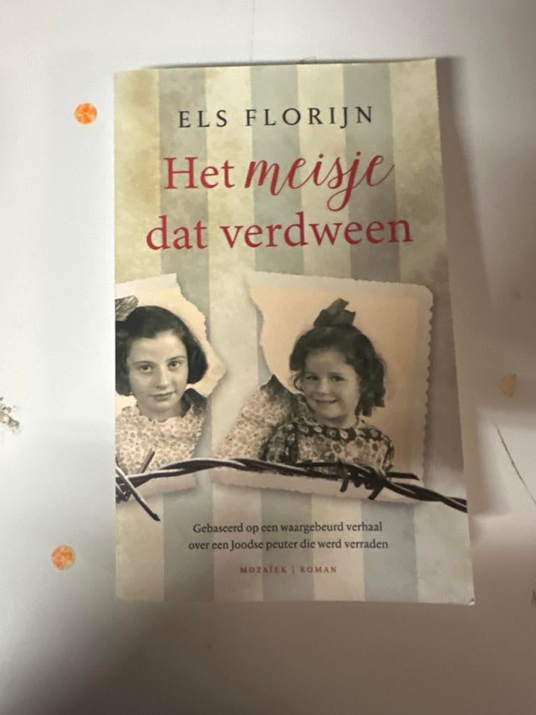 Het meisje dat verdween - Els Florijn (Roman), Boeken, Romans, Gelezen, Nederland, Ophalen of Verzenden