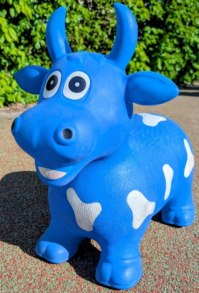 Kinder Dier Skippybal - Stabiel & Ontwikkelend, Ophalen, Zo goed als nieuw