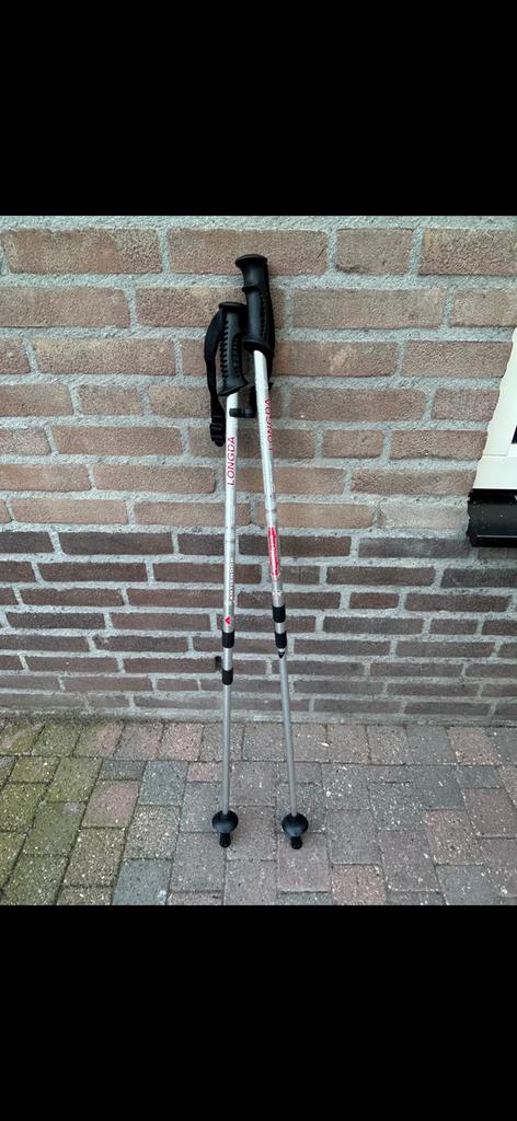 Wandelstokken, Ophalen, Zo goed als nieuw, Wandelstok