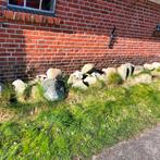 Natuurlijke Keien voor Tuin of Decoratie, Ophalen, Kei