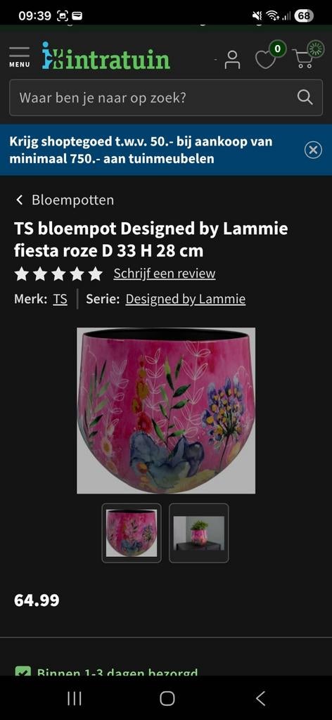 Mooie Fiesta bloempotten van Intratuin, designed by Lammie, Ophalen, Overige materialen, Minder dan 30 cm, Minder dan 60 cm