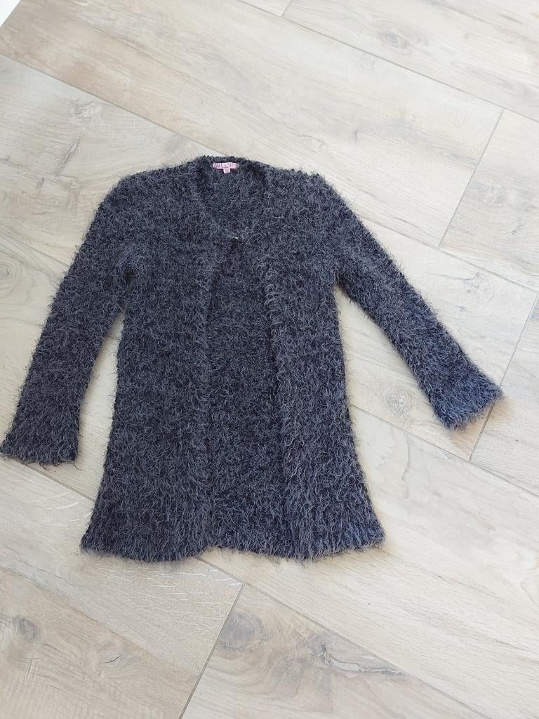 Saar en Suus - grijs vestje - maat 140 / 146, Ophalen of Verzenden, Zo goed als nieuw, Meisje, Trui of Vest