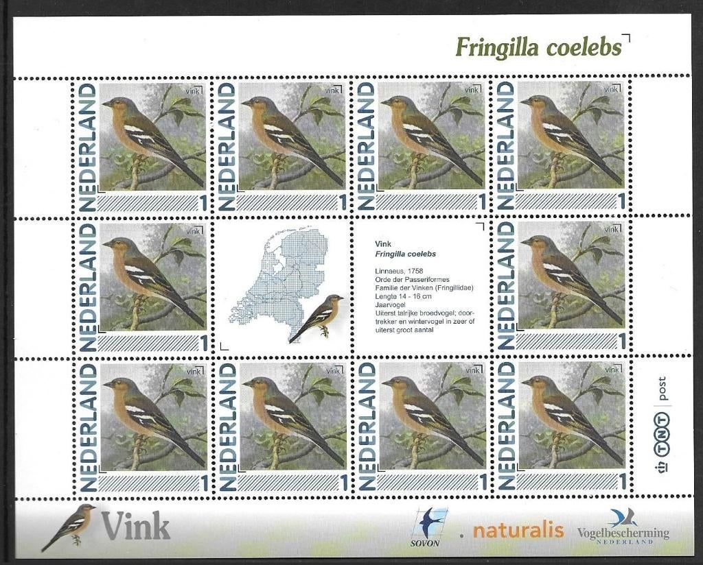 Vel persoonlijke zegels, Vogels Vink postfris, Postzegels en Munten, Postzegels | Nederland, Ophalen of Verzenden, Postfris