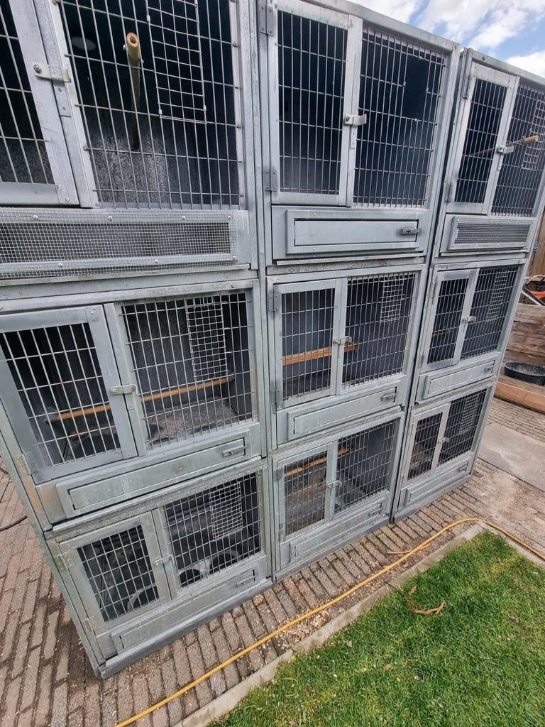 9 Broedkooien  3 x 3, Ophalen, Hout, Broedkooi of Kweekkooi