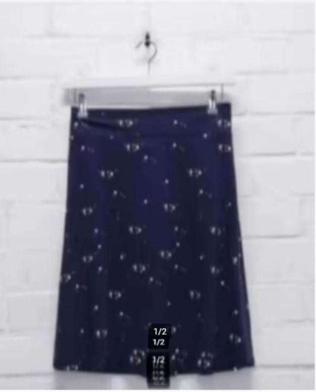 Froy & Dind - Prachtige rok maat XL - Nieuw, Overige kleuren, Maat 46/48 (XL) of groter, Nieuw, Ophalen of Verzenden