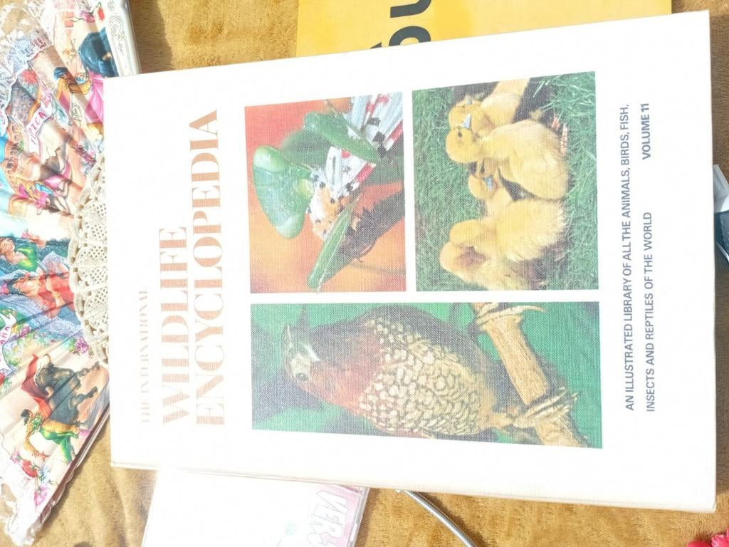 Antieke Wildlife Encyclopedia - Deel 11 (1969), Ophalen of Verzenden, Los deel, Dieren, Onbekend