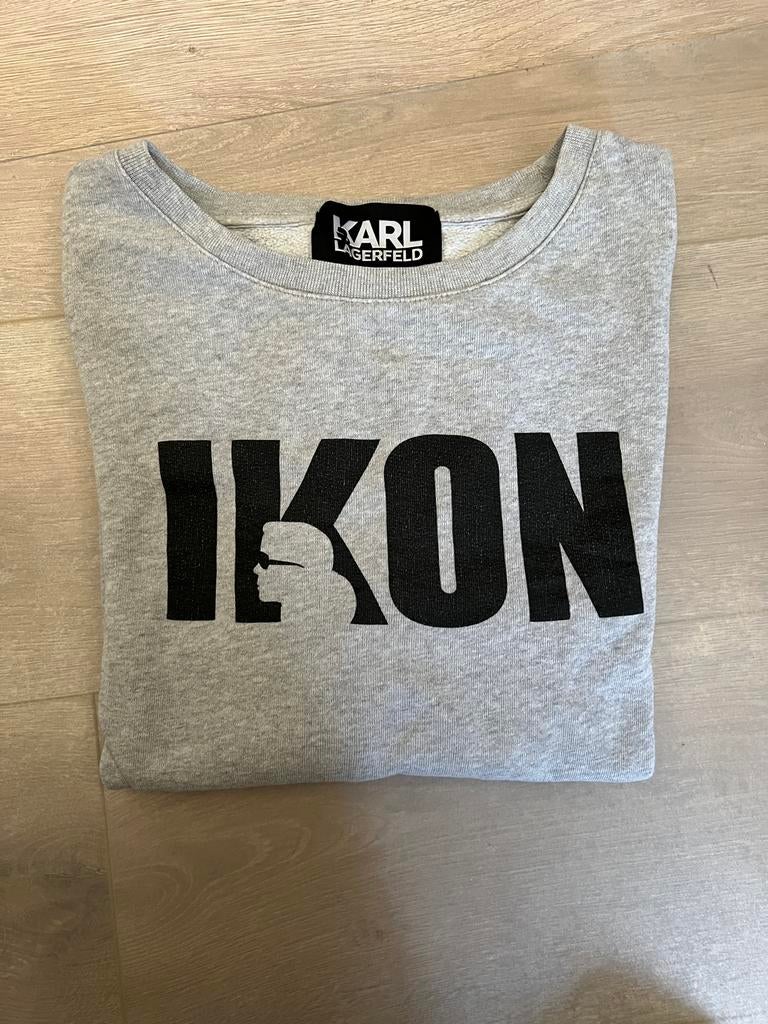 063 - Grijze sweater van Karl Lagerfeld - IKON - maat L, Kleding | Dames, Truien en Vesten, Zo goed als nieuw, Maat 42/44 (L)