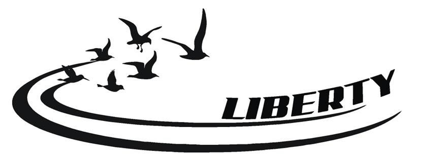 Camper caravan bus sticker Liberty, Caravans en Kamperen, The River House, Info@theriverhouse.nl, Nieuw, Ophalen of Verzenden