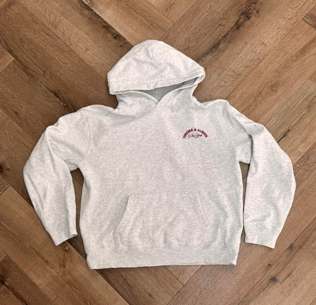 Hoodie, Kinderen en Baby's, Kinderkleding | Maat 170, Ophalen of Verzenden, Zo goed als nieuw, Meisje, Trui of Vest