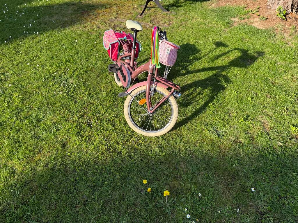 Loekie prinses kinderfiets 18inch (45cm) eerste eigenaar, Ophalen, Gebruikt, 18 inch, Handrem