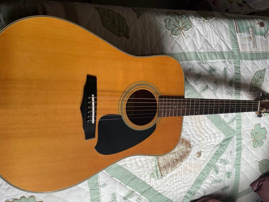 Gitaar Ibanez PF10 met hoes, Ophalen, Zo goed als nieuw, Western- of Steelstringgitaar