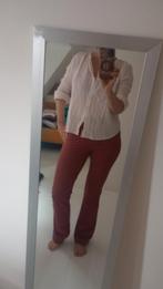 Zaya Travel Broek, Japan TKY, Maat 38/40 (M), Japan TKY, Ophalen of Verzenden, Zo goed als nieuw