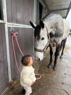 Prachtige mensgerichte 5 jarige merrie +/-154, Dieren en Toebehoren, Minder dan 160 cm, Zadelmak, 3 tot 6 jaar, Recreatiepaard