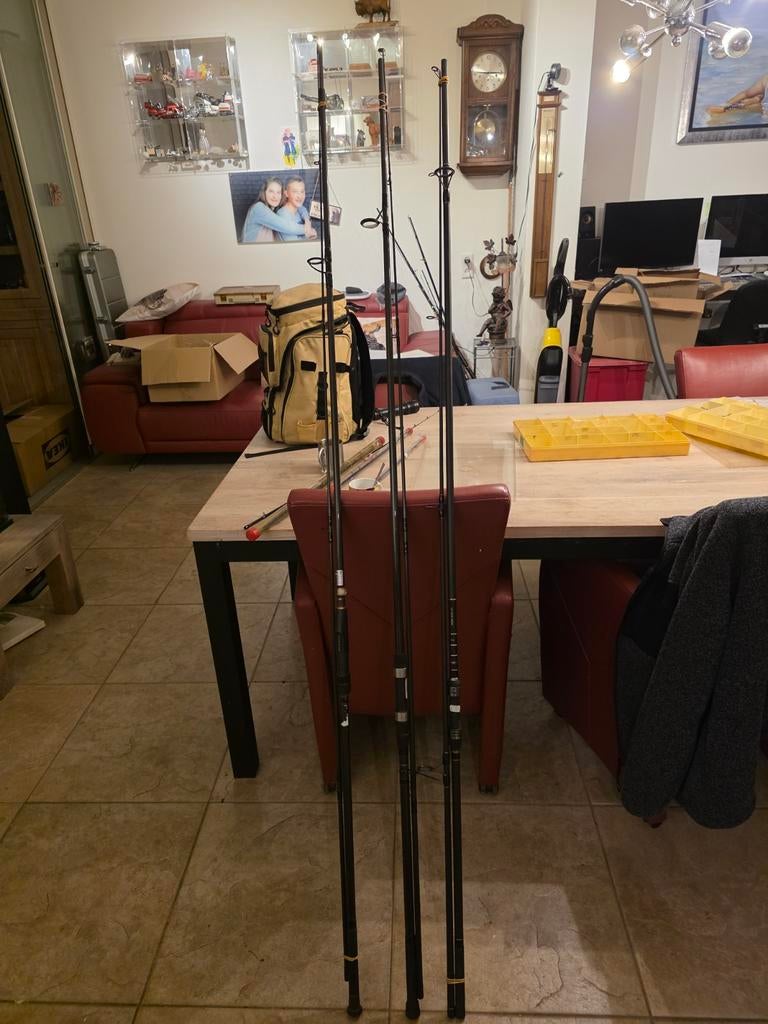 3 Karperhengels - Per stuk te koop, Ophalen