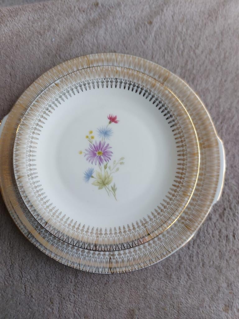 Vintage gebakstel taart schaal en 12 gebaksbordjes, Huis en Inrichting, Keuken | Servies, Ophalen of Verzenden, Porselein, Overige stijlen