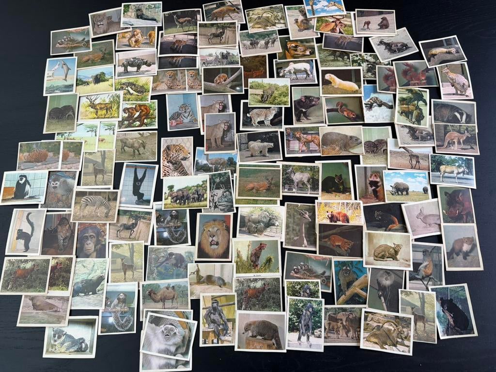 125 vintage dierplaatjes uit 1960 van Virginia Cigarettes, Ophalen of Verzenden, Zo goed als nieuw, Beeldje of Figuurtje