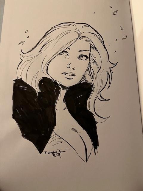 zeer mooie tekening van Roodhaar/Storm, Boeken, Stripboeken, Nieuw, Eén stripboek, Verzenden