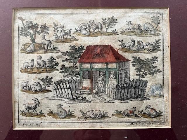 Ingekleurde gravure, Antiek en Kunst, Kunst | Etsen en Gravures, Ophalen of Verzenden