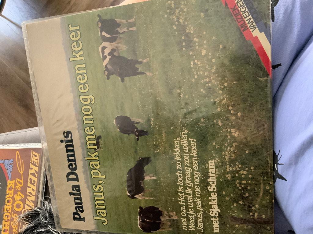 Paula dennis, Ophalen of Verzenden, Zo goed als nieuw, Levenslied of Smartlap, 12 inch