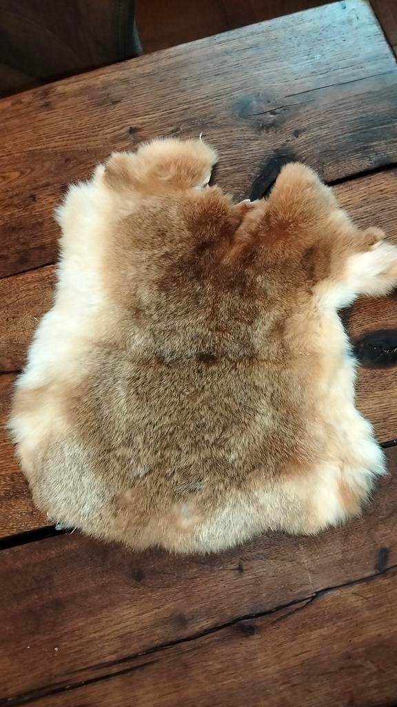 Leuk brocante vachtje (1), Antiek en Kunst, Ophalen of Verzenden