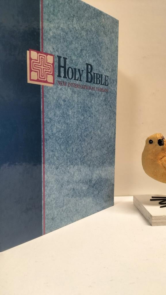 Bible, Holy Bible (New International Version : Giant Print), Ophalen of Verzenden, Gelezen, Christendom | Protestants