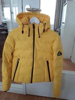 Ski jas geel, Superdry, Geel, Gedragen, Ophalen