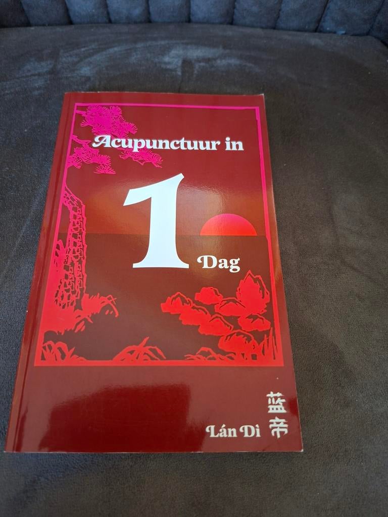 Acupunctuur in 1 Dag - Leer de basis snel, Ophalen of Verzenden, Gelezen, Kruiden en Alternatief, Lán Di (Peter C. van Kervel)