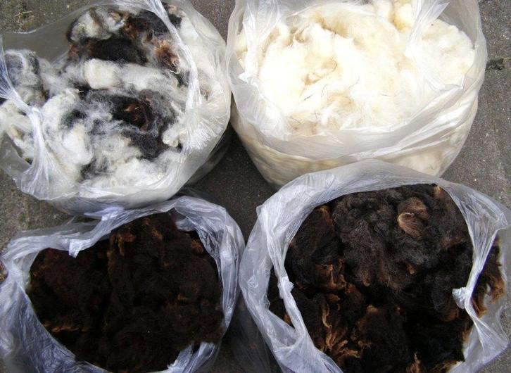 Nederlands spinpakket schapenwol spinnewiel spinnen, Hobby en Vrije tijd, Spinnewielen en Spinnen, Nieuw, Spinwol, Ophalen of Verzenden