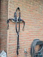 Borsttuig met martingaal maat cob, QHP (evt met hoofdstel), Dieren en Toebehoren, Ophalen of Verzenden, Zo goed als nieuw, Springen