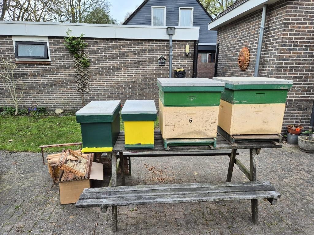 Dadant  bijenkasten, Dieren en Toebehoren, Bijen