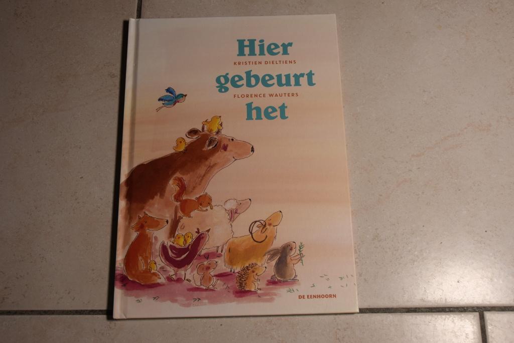 Hier gebeurt het / Kristien Dieltiens, Ophalen of Verzenden, Zo goed als nieuw, Fictie algemeen